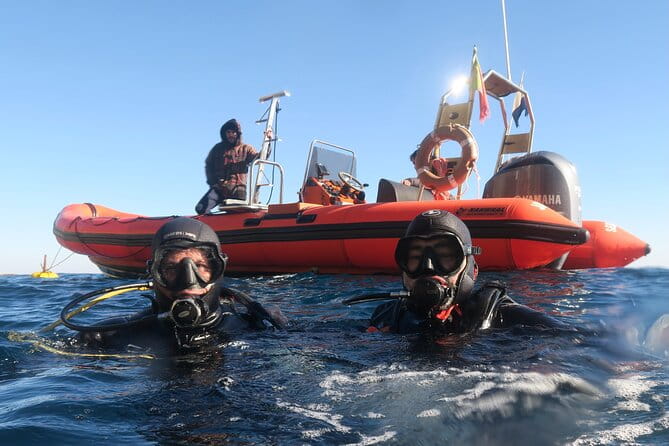 Eco - Try Dive - FAQs