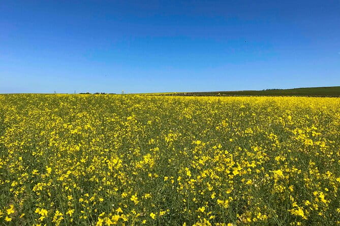 Edinburgh's Landscapes Tours with a Local Guide: Private & Personalized - FAQs