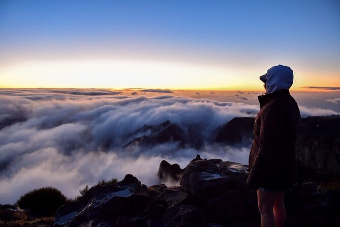 Set out on a Luxurious Private Journey: Unveiling the Madeira Best - Who Will Love This Tour?