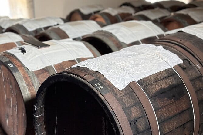 Emilian Mountains: Local Flavours, Castle & outdoors - Key points / Takeaways