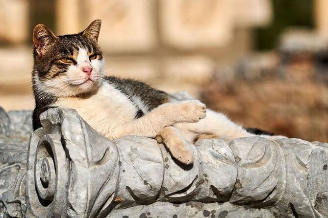 Ephesus and Virgin Mary House Private Tour with Lunch and Pickup - Why This Tour Works for Travelers