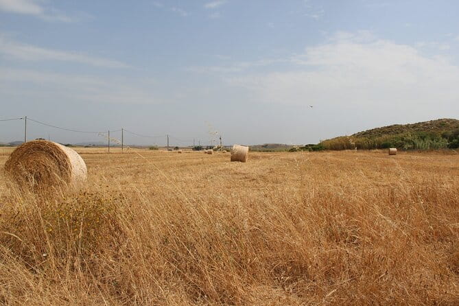 Evora Wine & Cork Experience - Savoring the Flavors of Alentejo