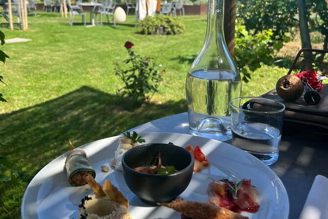 Exclusive Boat Tour Murano Burano Torcello with real local guide - What Travelers Say