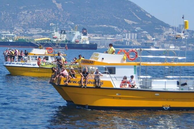 Excursion to Gibraltar with Dolphin Watching from Malaga - Wrapping Up: Shopping and Local Flavors in Gibraltar