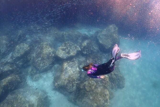 Experience Snorkelling in Puerto Del Carmen, Lanzarote - Who Might Want To Think Twice?