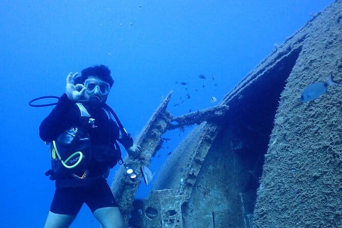 Explore World's Largest Plane Wreck by Scuba Diving in Kusadasi - Final Thoughts: Who Is This Tour Best For?