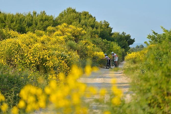 Exploring Vodice on Two Wheels - The Guide’s Role in Making It Special