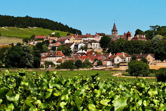 Exquisite Wines Tasting Chateau Pommard, Chablis Small-Group Trip - Who Will Enjoy This Tour?