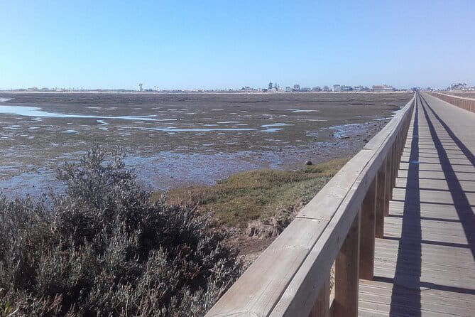 Faro City and Beach Tour on Electric Tuk tuks - Exploring Faros Natural Beauty and Beach