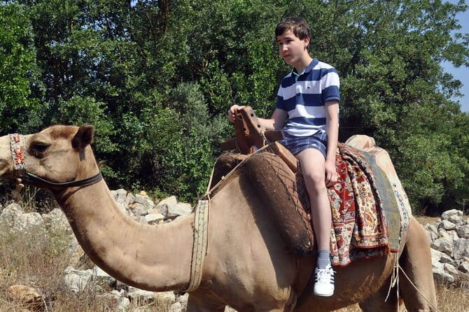 Fethiye Camel Riding at Gosht Town - Who This Tour Suits Best
