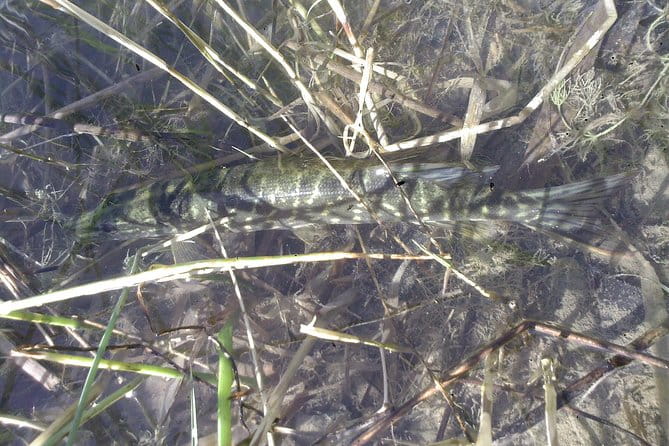 Fishing in Provence - Final Thoughts: Is This Tour Worth It?