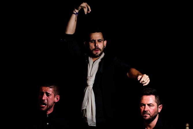 Flamenco show at the foot of the Giralda in Seville - The Itinerary: What You Can Expect