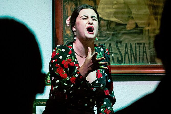 Flamenco Show in Seville - La milonga tablao - The Sum Up