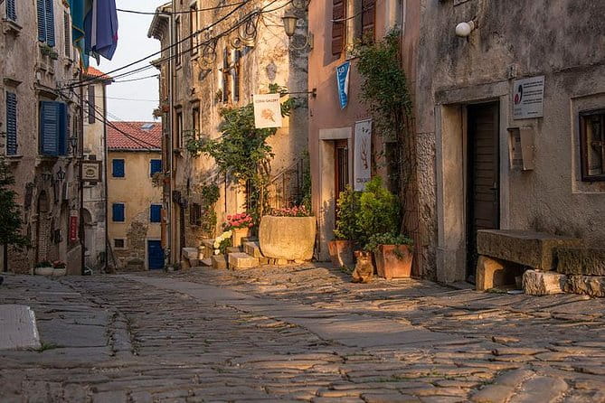 Flavours of Istria Tasting Experience from Trieste - In-Depth Review: Exploring the Flavours of Istria