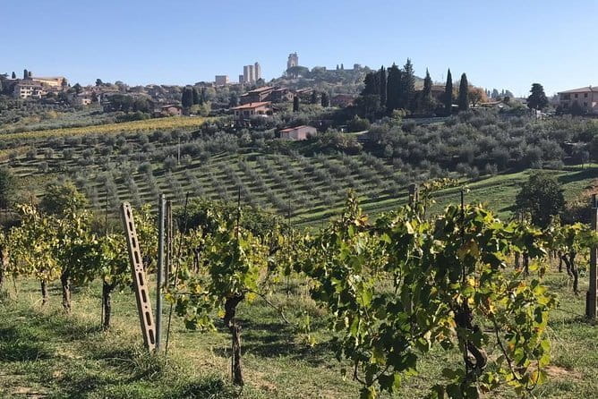 Florence Day Trip to Volterra and San Gimignano - A Taste of Tuscany: Optional Farm Lunch