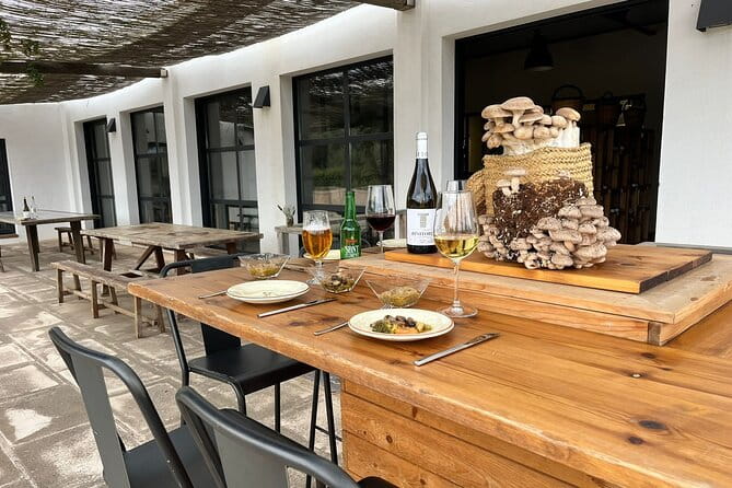 Food experience in mushroom cultivation (tour not included) - An In-Depth Look at the Mushroom Tasting Experience