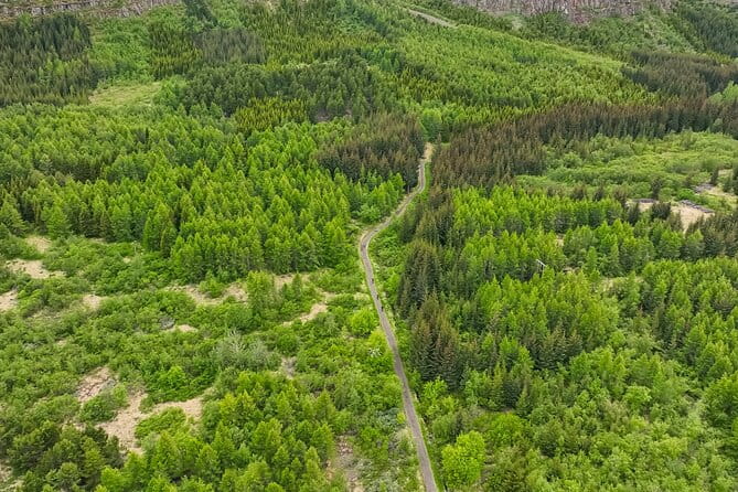 Forest Lagoon Ebike Tour Akureyri - Who Will Love This Tour?