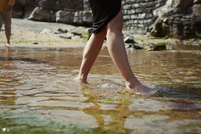 FRENCH BASQUE COAST Hike - Private Outdoor and Gastronomic Adventure - What to Expect from the Experience