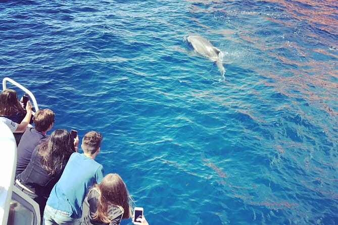 Friendly getaway to the Calanques of Piana from Cargèse - Who This Tour Is Perfect For