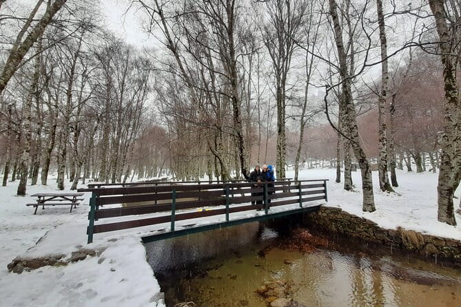 From Covilhã: Serra da Estrela and Covão d'mede Tour - What This Tour Means for You