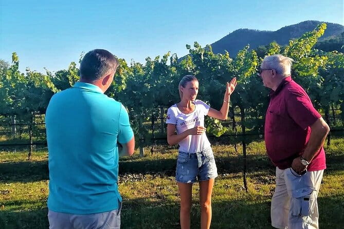 From Padua, Wine Tour in the Euganean Hills - FAQs