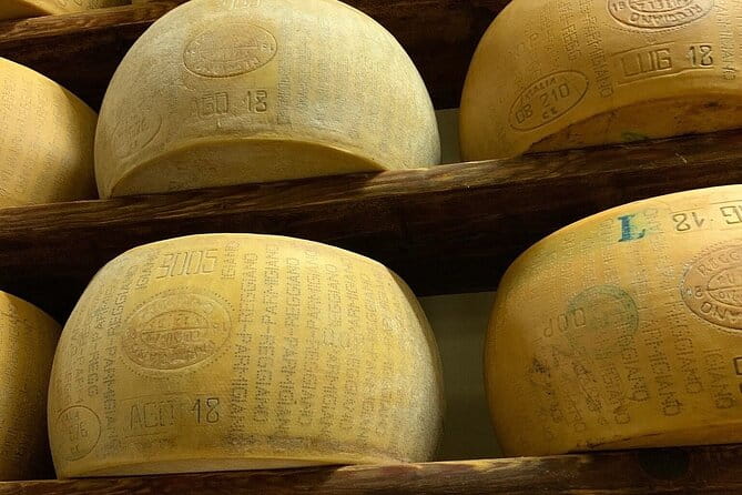From Parma: Parmigiano,Prosciutto and winery Tour and tasting - Who Will Enjoy This Tour?