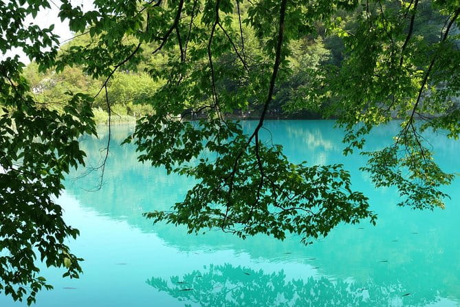 From Zadar: Plitvice Lakes with Boat Ride & Zadar Old town tour - Who Will Love This Tour?