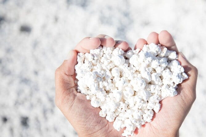 Fuerteventura: PRIVATE Historical Island Sightseeing Grand Tour - FAQ