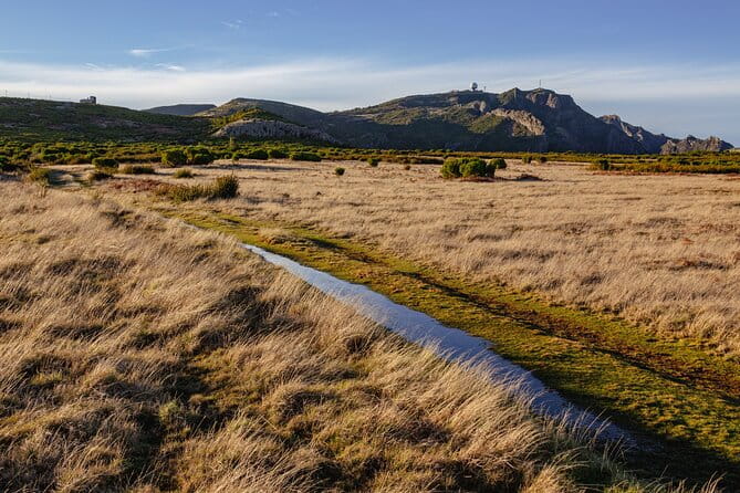 Full Day of Wonders: Madeira 4x4 Private Tour - Final Thoughts