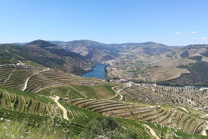 Full-Day Porto and Douro Valley Private Wine Tour with Lunch - The Logistics: What to Expect