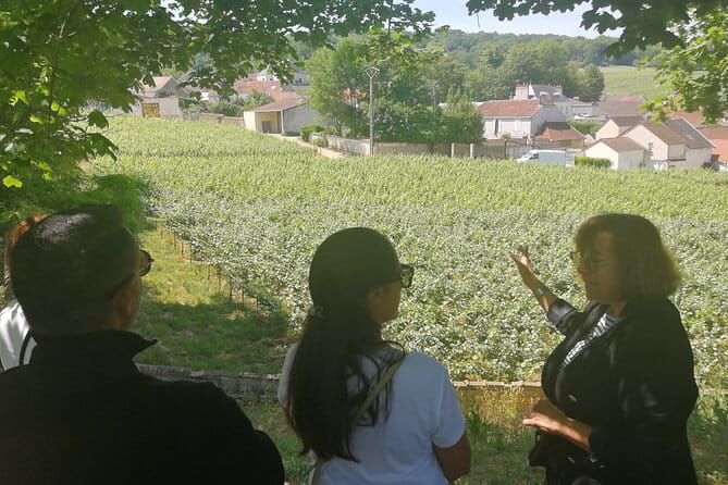 Full-Day Private Champagne Tasting in Reims and its Vineyards - Who Is This Tour Best For?