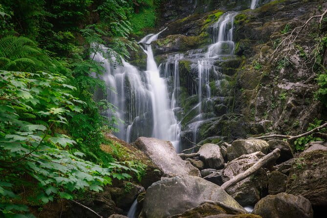 Full-Day Private Historical Tour at Ring of Kerry - FAQ