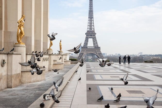 Full-Day Private Tour in Paris with Driver - A Close-up of the Eiffel Tower and Invalides