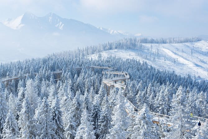 Full-Day Tour of Zakopane and Slovakia Treetop from Krakow - Transportation and Logistics: How it Works for You