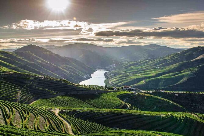 Full day Tour to Douro Valley from Porto - The Cost and What You’re Getting
