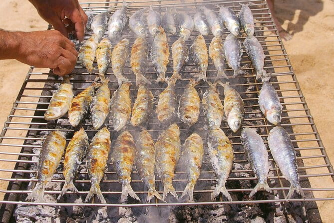 Full day trip with BBQ on the beach, Caves, Sailing - In-Depth Review of the Algarve Full-Day Tour