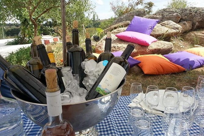 Full-Day Wine Tour from Istanbul - FAQ Section