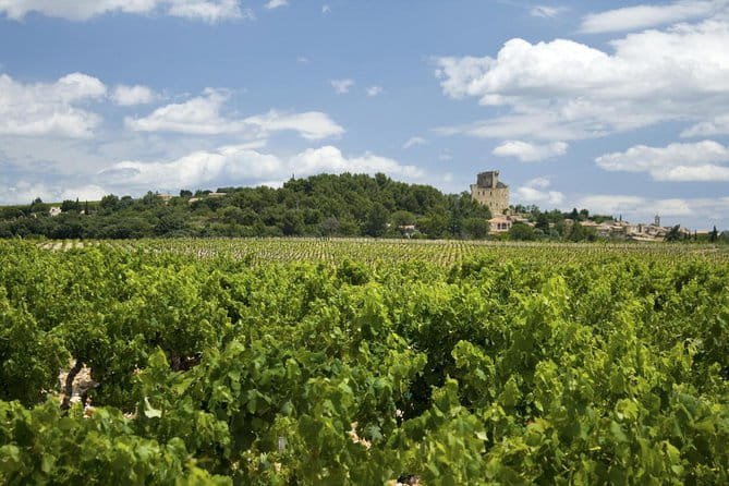 Full private day Avignon Chateuneuf du pape wine tasting - Exploring Avignon and Châteauneuf-du-Pape: A Detailed Look