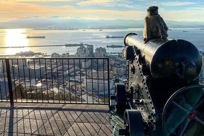 Gibraltar Sightseeing : Extended Rock Tour / Shore Excursion (Private) - Itinerary Breakdown: What You’ll See and Experience