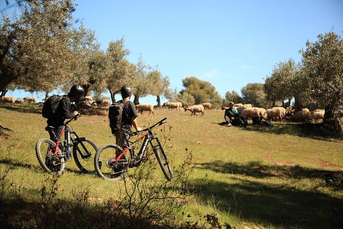 Granada: Nature, Wildlife and Authentic Villages E-bike Tour - The Sum Up
