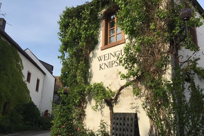 Grape Day out Pfalz to taste cracking Red wines & Riesling - Frequently Asked Questions