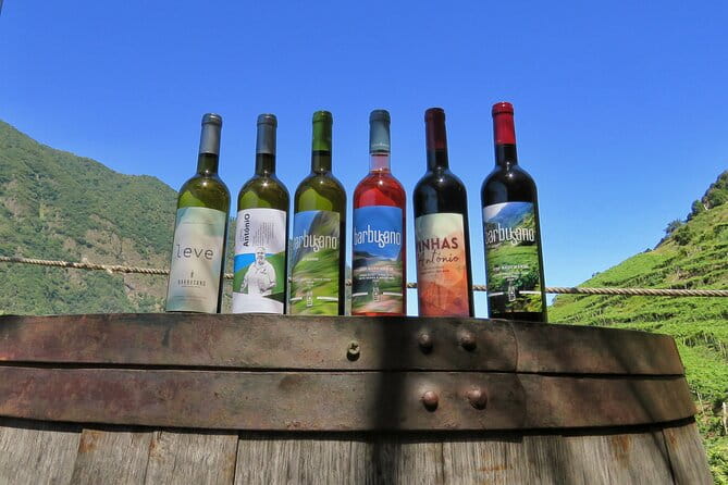 Guided 4x4 Adventure and Skywalk with Wine and Tapas in Madeira - FAQ