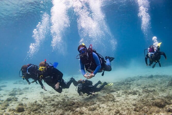 Guided dive for certified divers - Entering the Water: What to Expect From Your Guided Dive