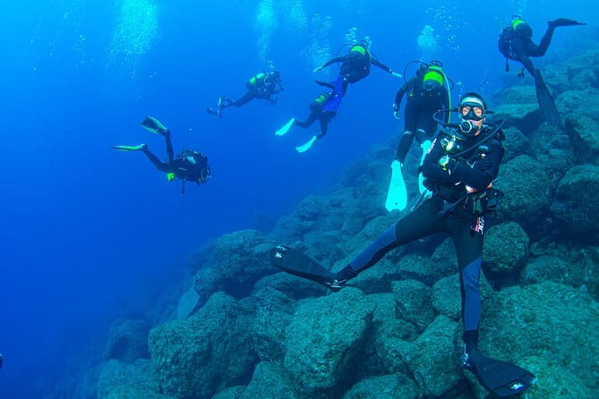 Guided Immersion from Santa Cruz de Tenerife - The Sum Up