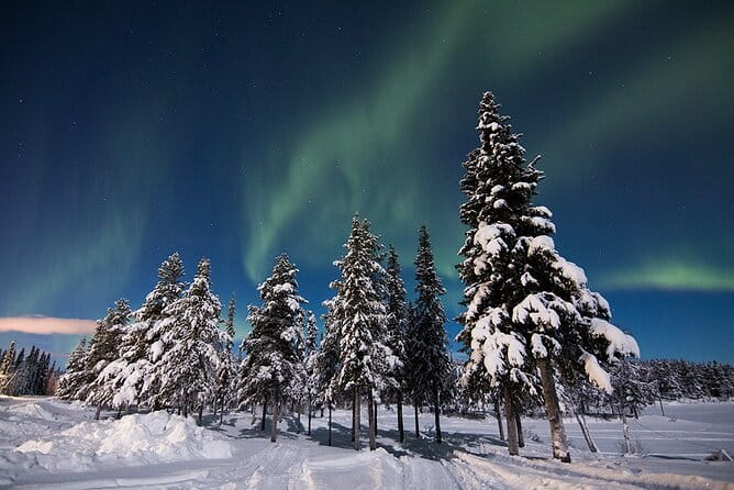 Guided Northern Lights Tour at Kiruna - Pricing and Value