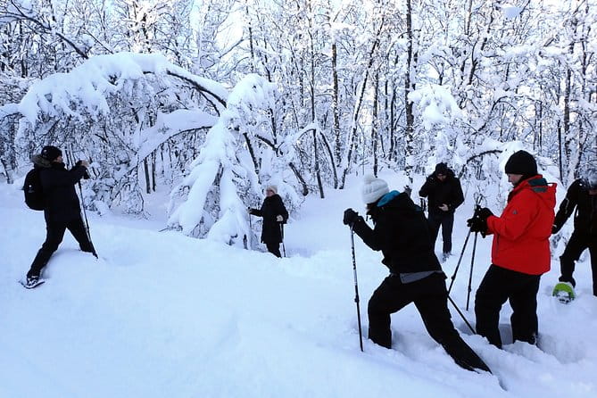 Guided Snowshoe Walk on Tromsoya Island in Tromso - Who Will Love This Tour?