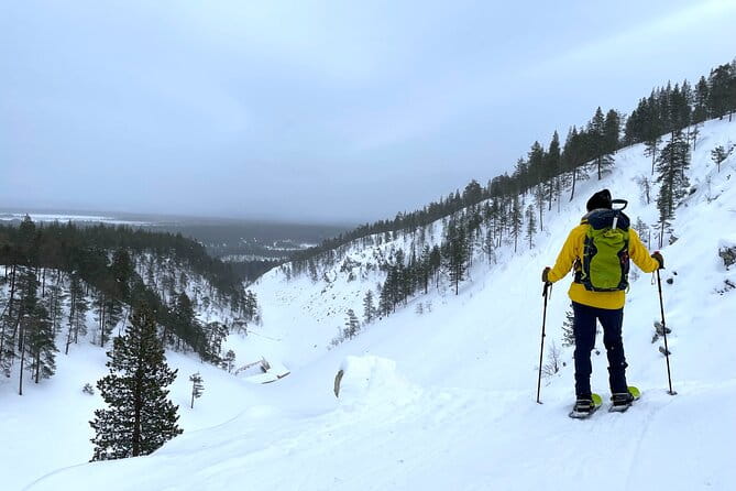 Guided Snowshoeing Tour In Pyhätunturi - The Value of a Guided Arctic Snowshoe Adventure