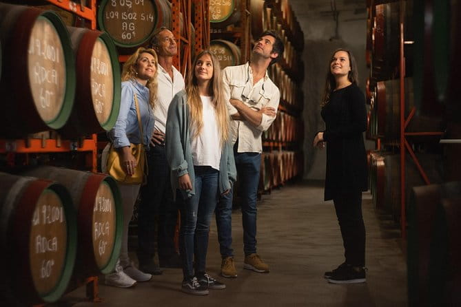 Guided Tour at Ron Arehucas Distillery - Who Would Enjoy This Tour?