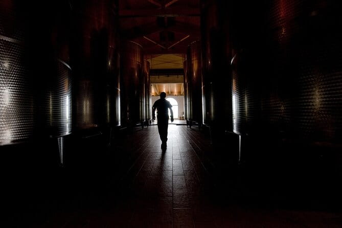 Guided Tour Cleto Chiarli with Lambrusco Tasting - Behind the Scenes: What Makes This Tour Special?