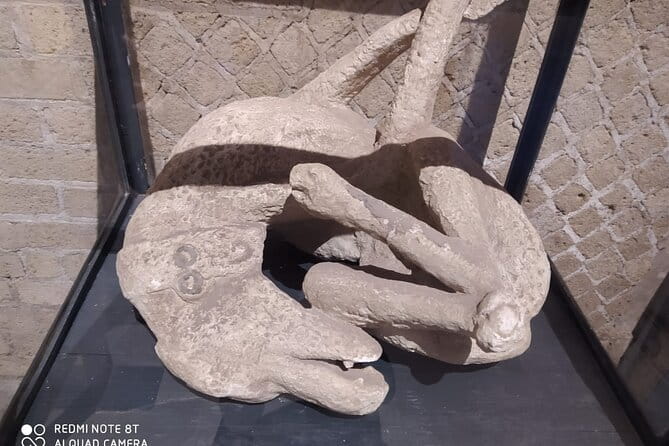 Guided Tours of Pompeii Excavations Historical and Cultural Itineraries - FAQ